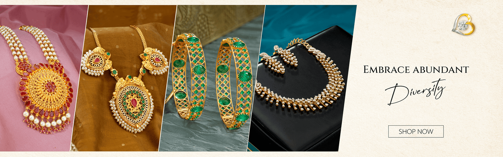 Embrace-diversity---home-pg-banenr-1920-x-600