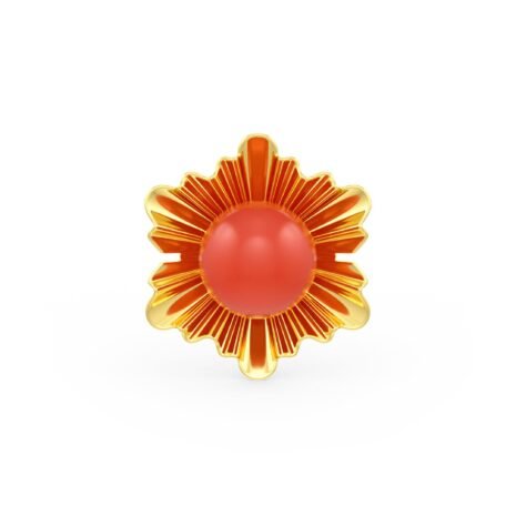 SER-30881 (1) SER-30881 (1)