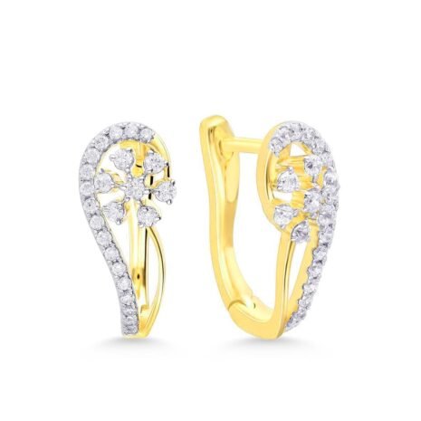 DER-31939 Y DER-31939 Y